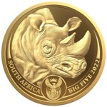 Big Five II: Rhino 1/4 uncji Złota 2022 Proof
