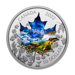 Canada: Canadian Collage kolorowany 3 uncje Srebra 2022 Proof