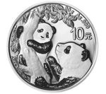 Chińska Panda 30 gramów Srebra 2021