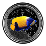 Montserrat Blue Girdled Angelfish kolorowany 1 uncja Srebra 2021 Proof