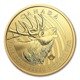 Zew natury: Jeleń Wapiti 1 uncja Złota 2017 (moneta w karcie)